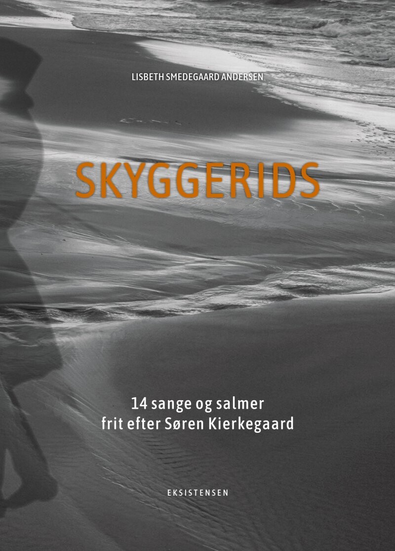 Skyggerids - Lisbeth Smedegaard Andersen - Bog