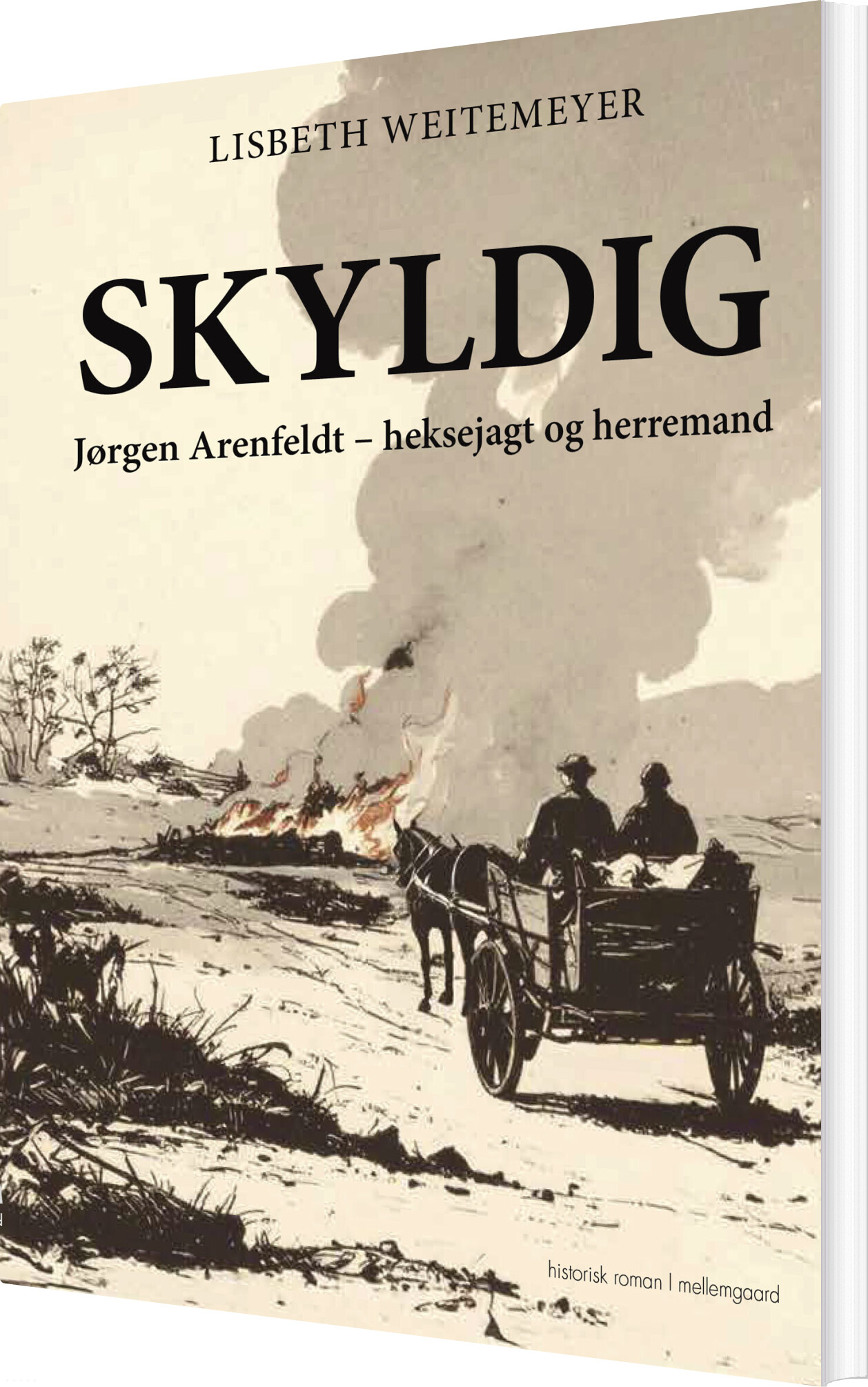 Skyldig - Lisbeth Weitemeyer - Bog