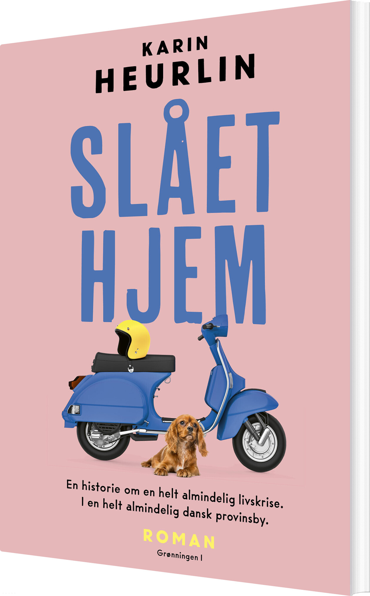 Billede af Slået Hjem - Karin Heurlin - Bog