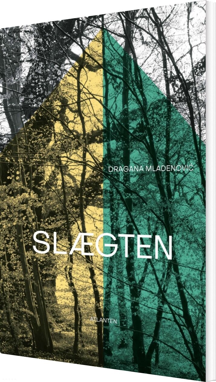 Billede af Slægten - Dragana Mladenovic - Bog