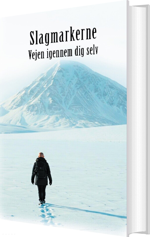 Slagmarkerne - Maximus F. Isla - Bog