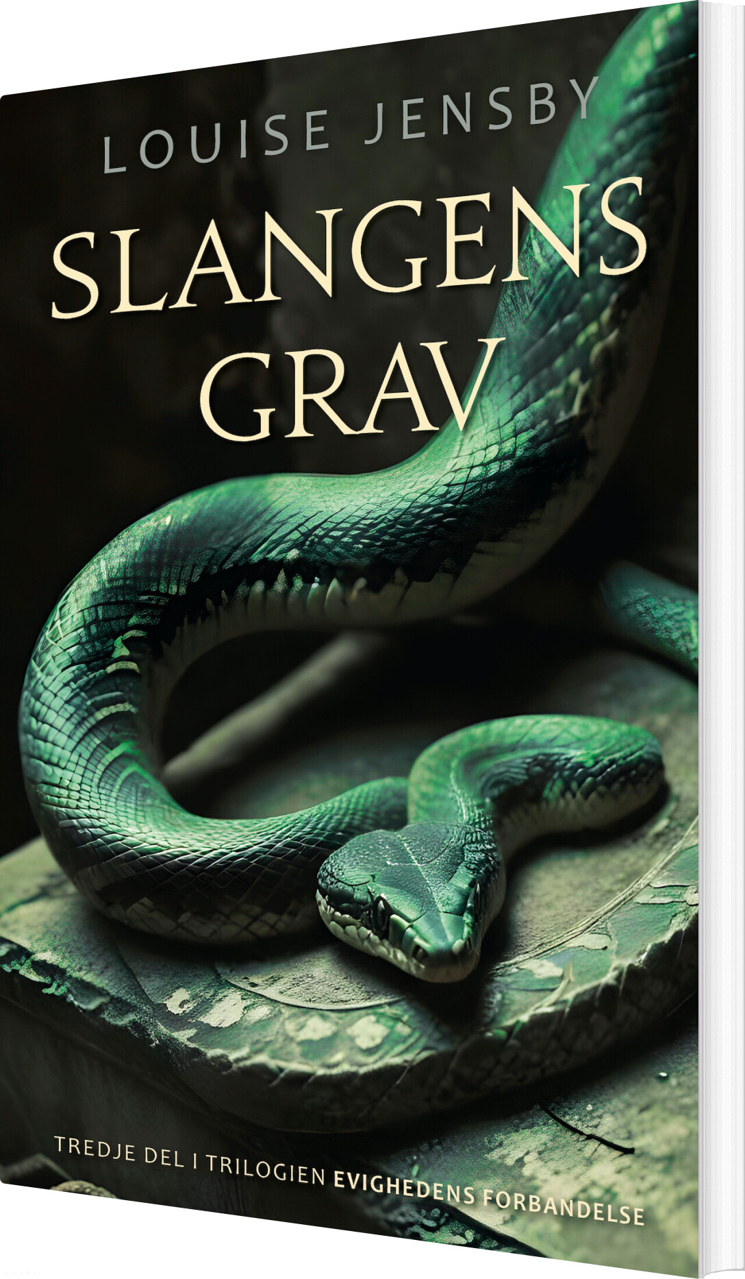 Slangens Grav - Louise Jensby - Bog