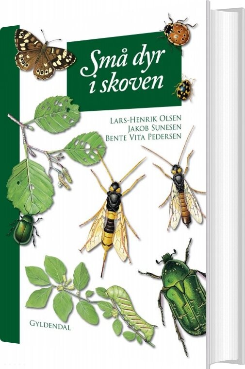 Billede af Små Dyr I Skoven - Lars-henrik Olsen - Bog