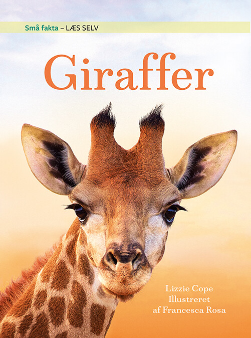 Billede af Små Fakta: Giraffer - Lizzie Cope - Bog hos Gucca.dk