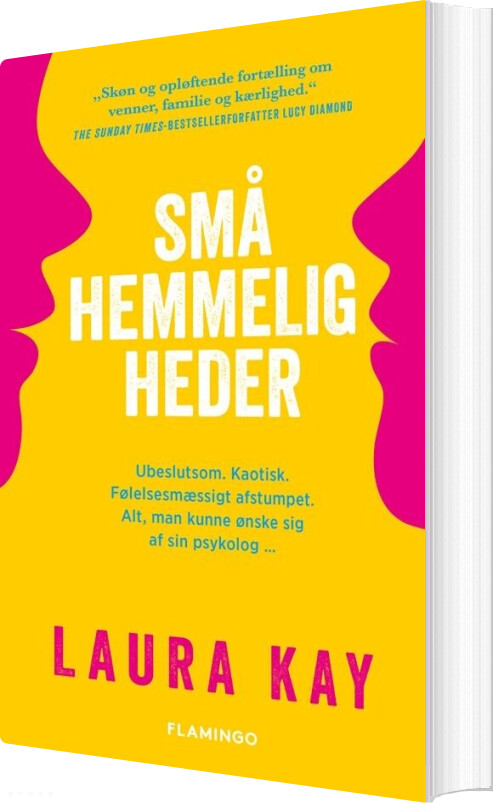 Billede af Små Hemmeligheder - Laura Kay - Bog