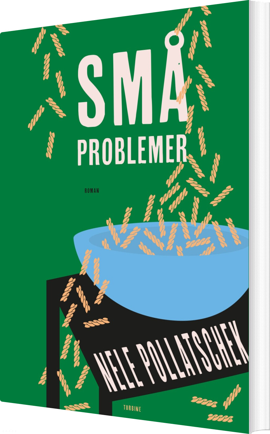 Små Problemer - Nele Pollatschek - Bog