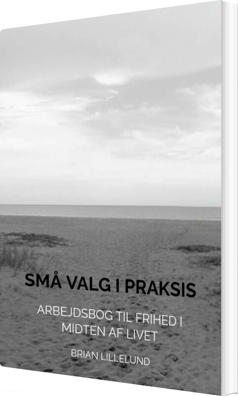 Små Valg I Praksis - Brian Lillelund - Bog