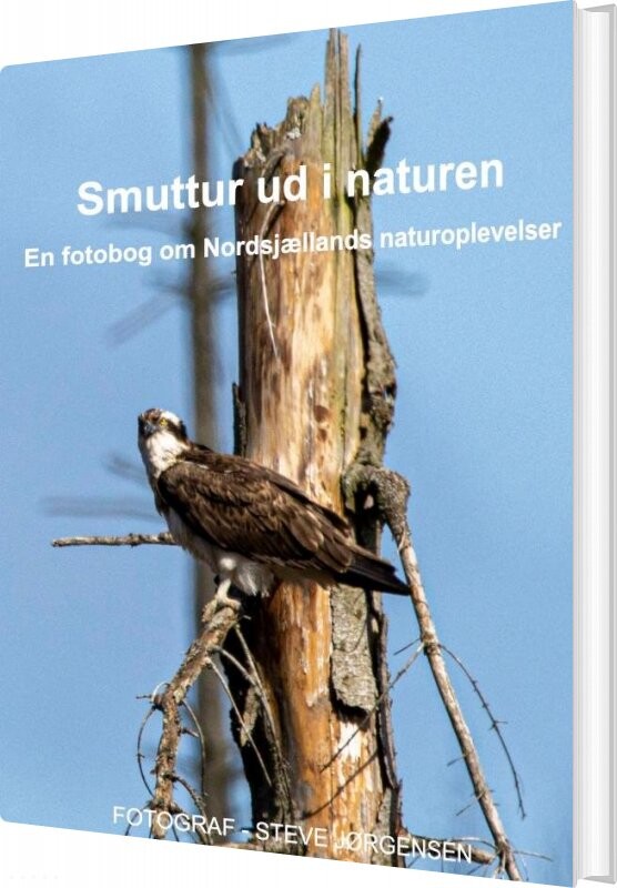 Billede af Smuttur Ud I Naturen - Steve Jørgensen - Bog