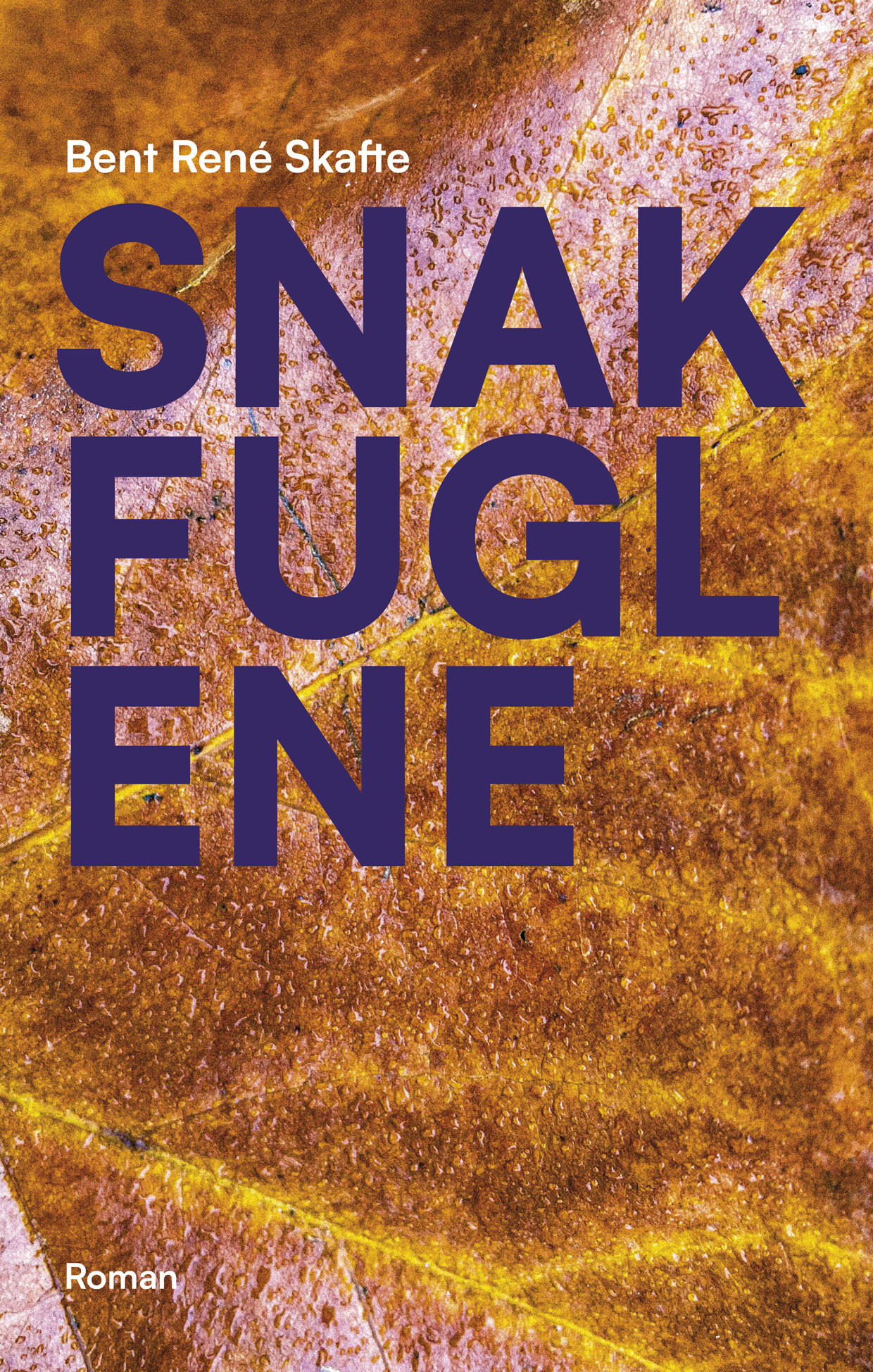Snakfuglene - Bent René Skafte - Bog