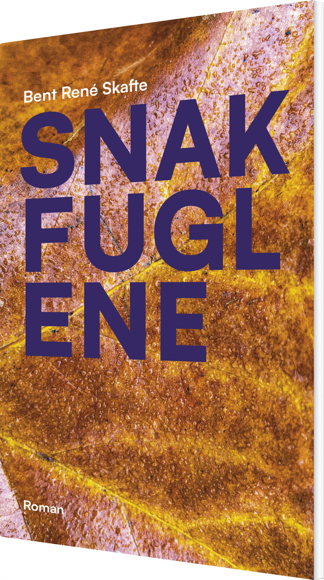 Snakfuglene - Bent René Skafte - Bog - Skriveforlaget