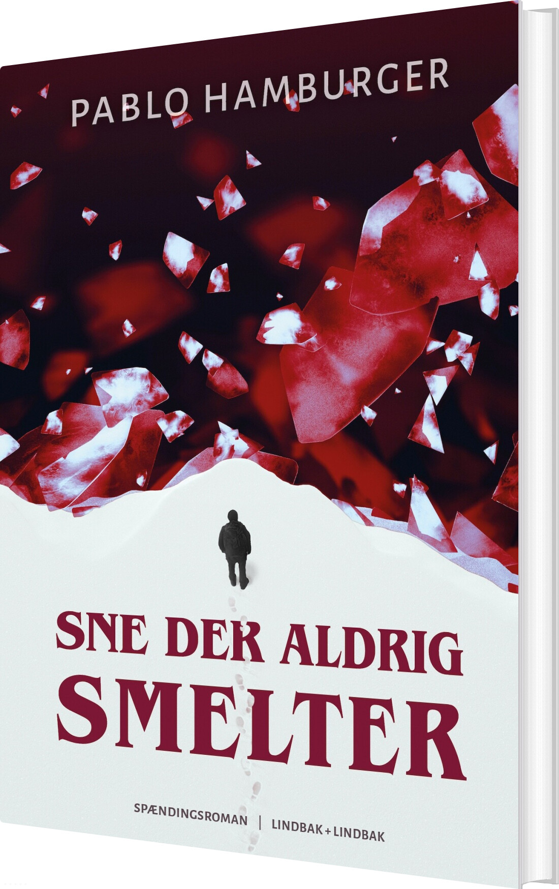 Sne Der Aldrig Smelter - Pablo Hamburger - Bog