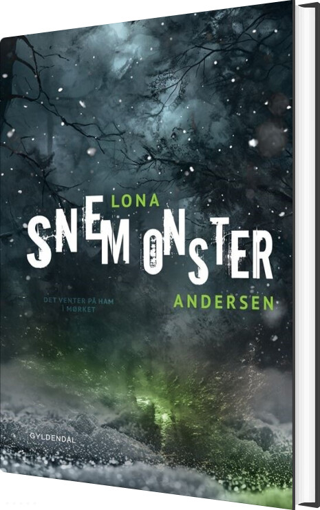 Billede af Snemonster - Lona Andersen - Bog