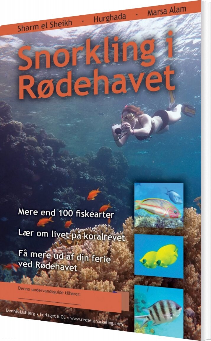 Snorkling I Rødehavet - Dennis Lisbjerg - Bog