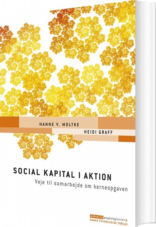 Social Kapital I Aktion - Hanne V. Moltke - Bog