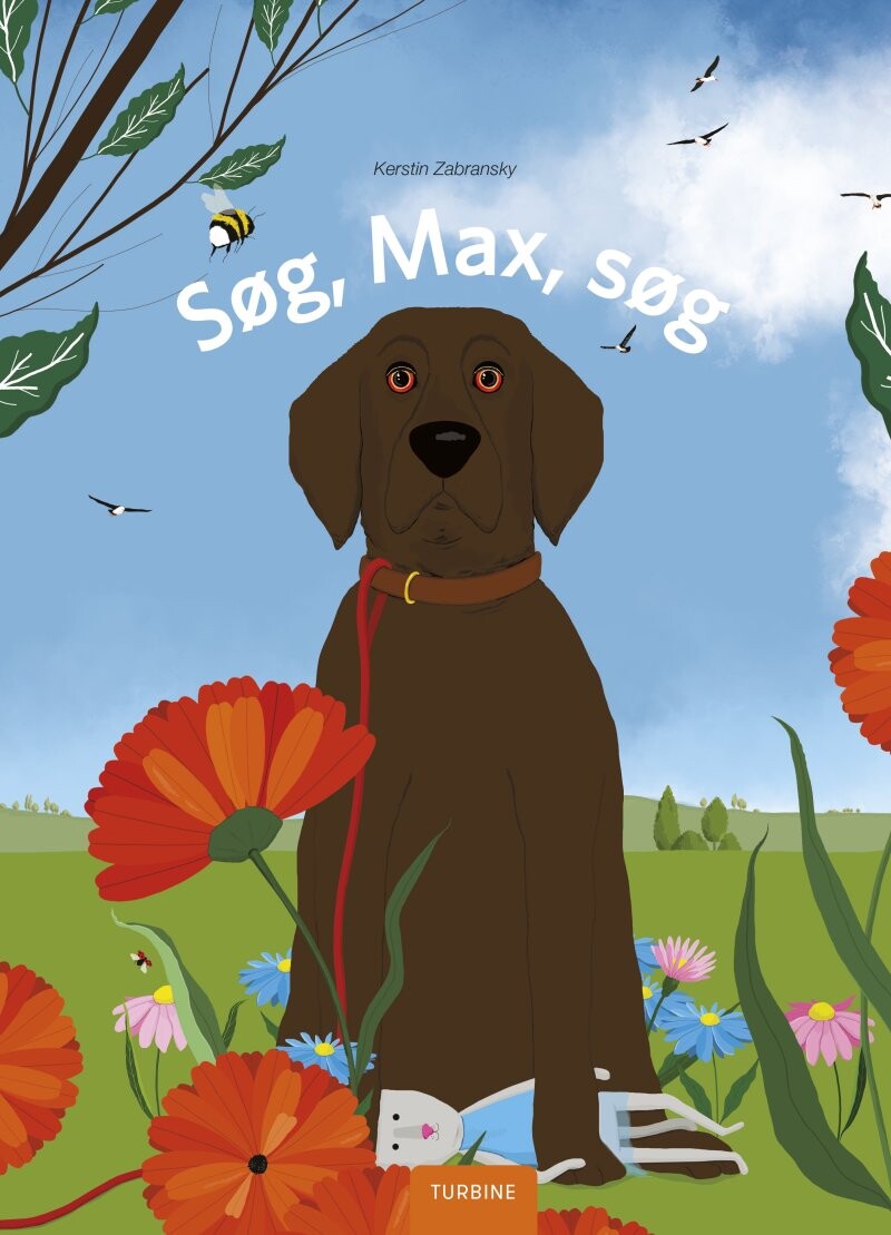 Søg, Max, Søg - Kerstin Zabransky - Bog