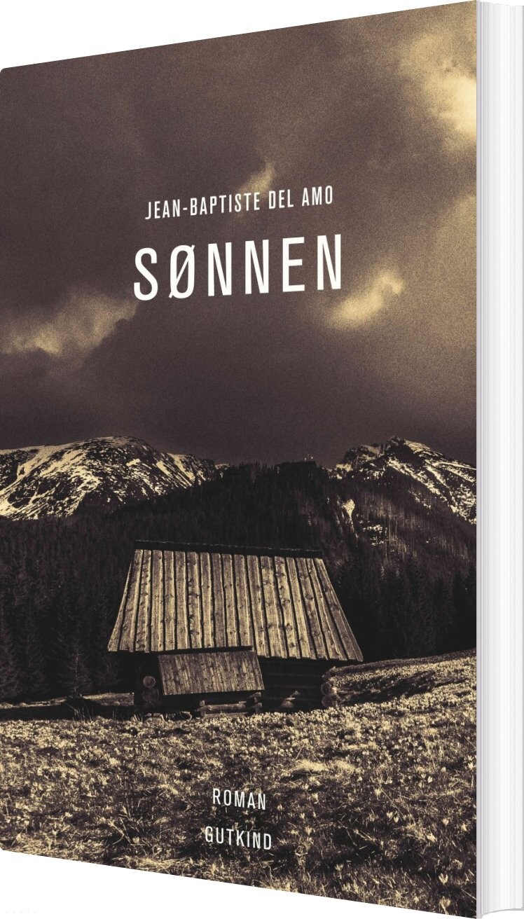Billede af Sønnen - Jean-baptiste Del Amo - Bog
