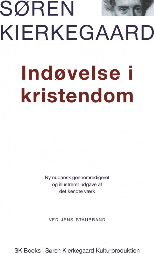 Indøvelse I Kristendom - Søren Kierkegaard - Bog