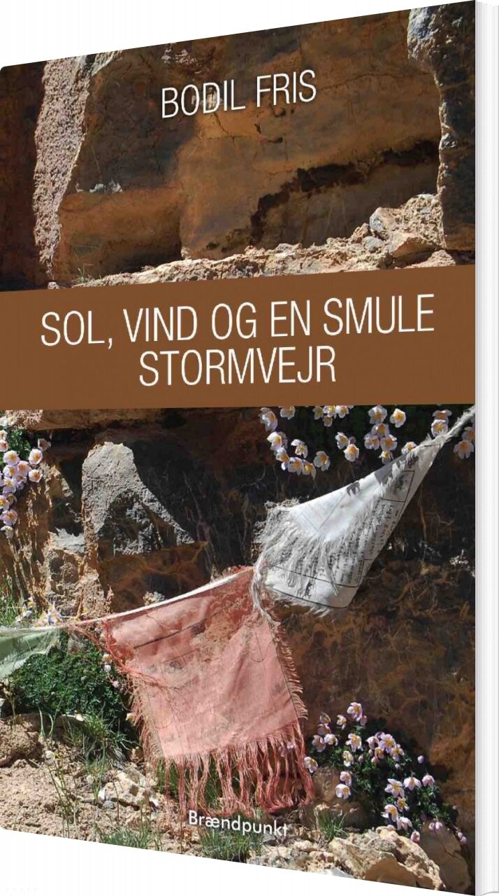 Billede af Sol, Vind Og En Smule Stormvejr - Bodil Fris - Bog