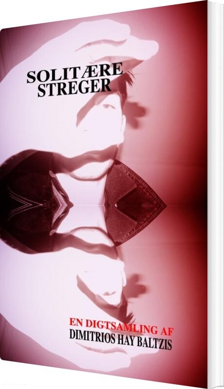Solitære Streger - Dimitrios Baltzis - Bog