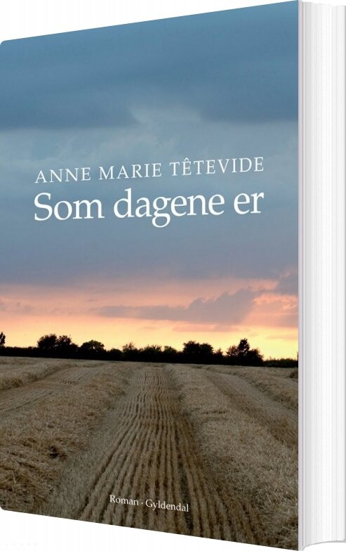 Billede af Som Dagene Er - Anne Marie Têtevide - Bog