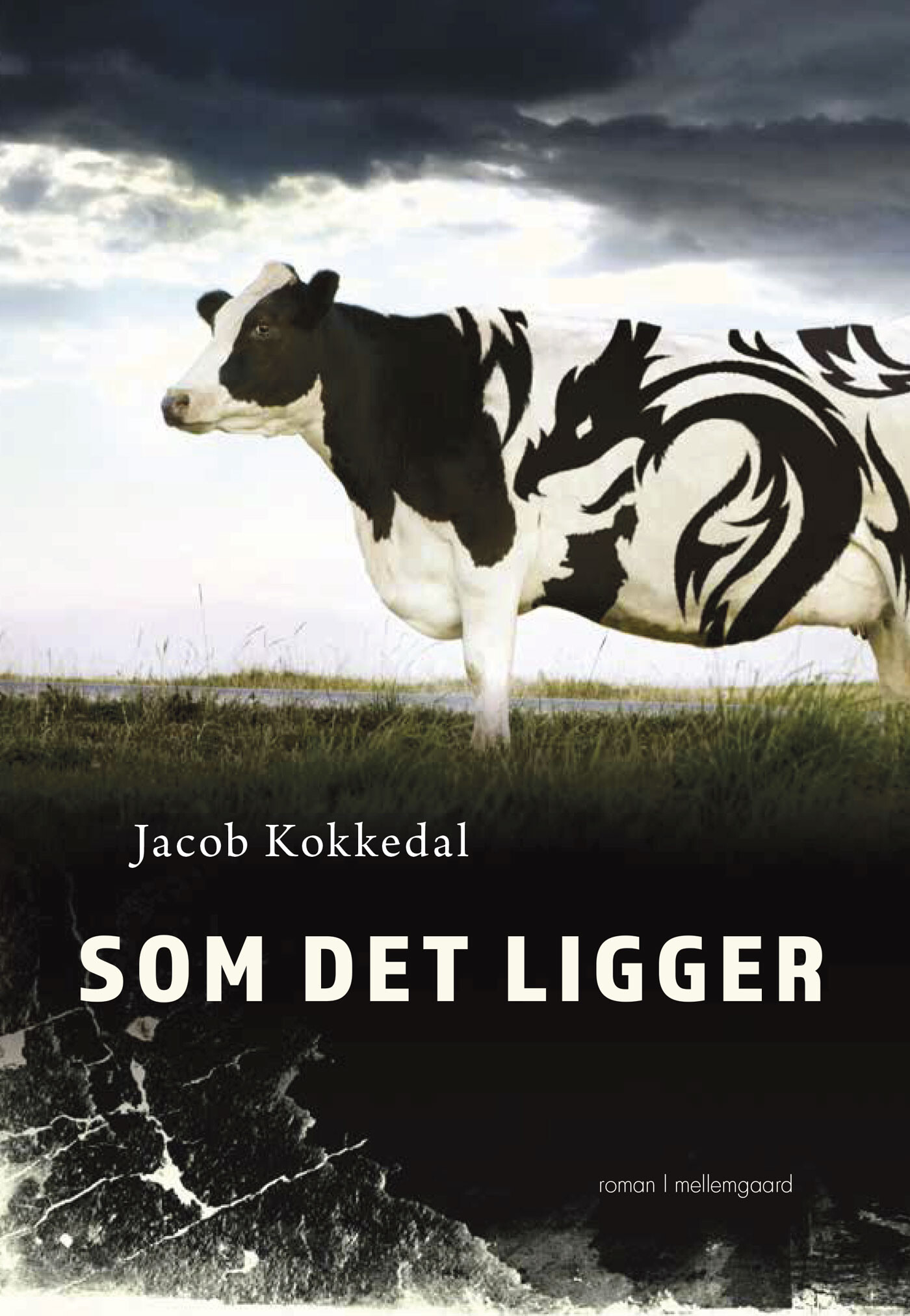 Som Det Ligger - Jacob Kokkedal - Bog
