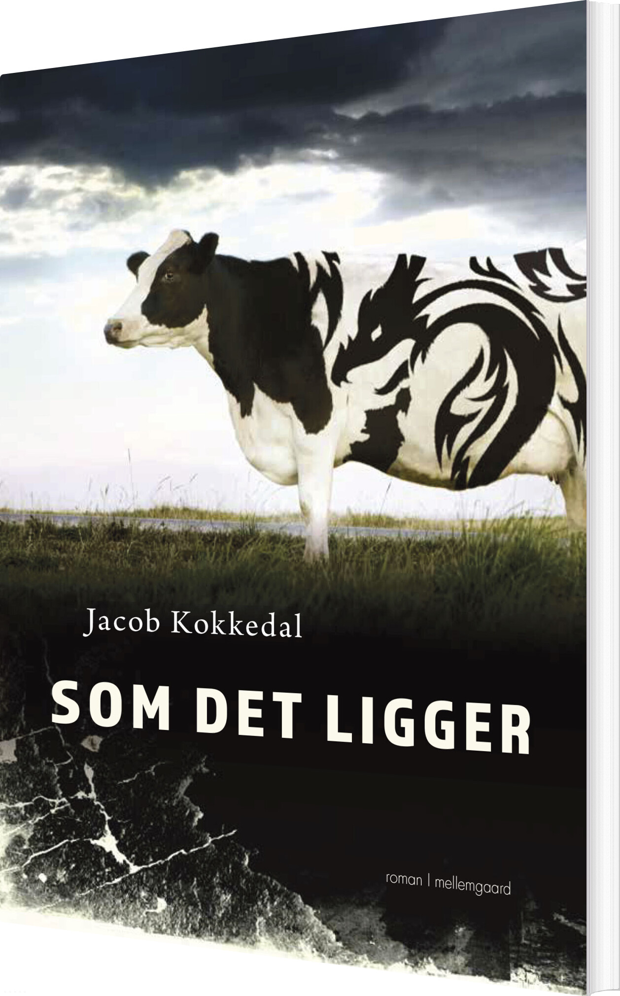 Som Det Ligger - Jacob Kokkedal - Bog