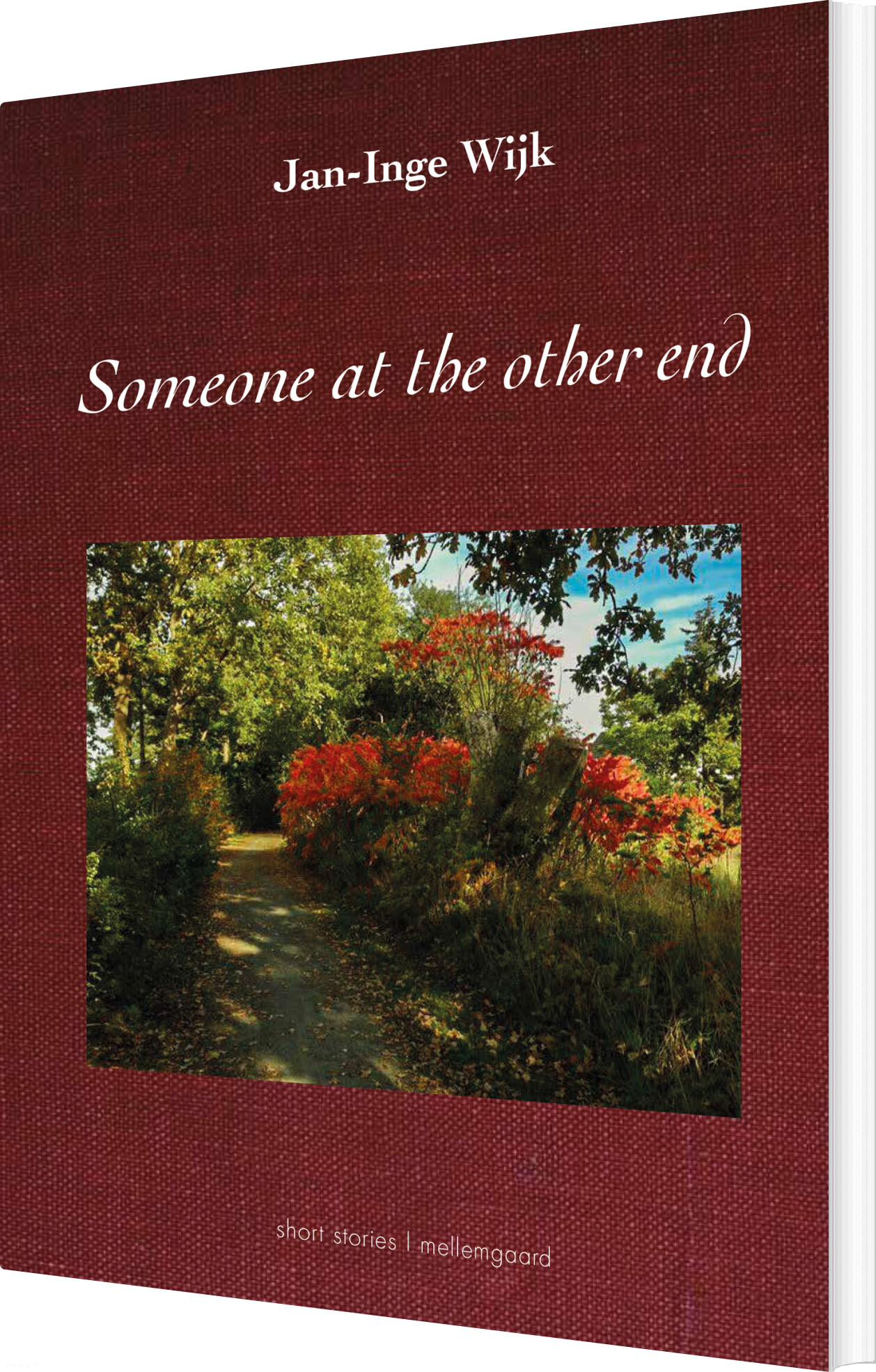 Someone At The Other End - Jan-inge Wijk - English Book