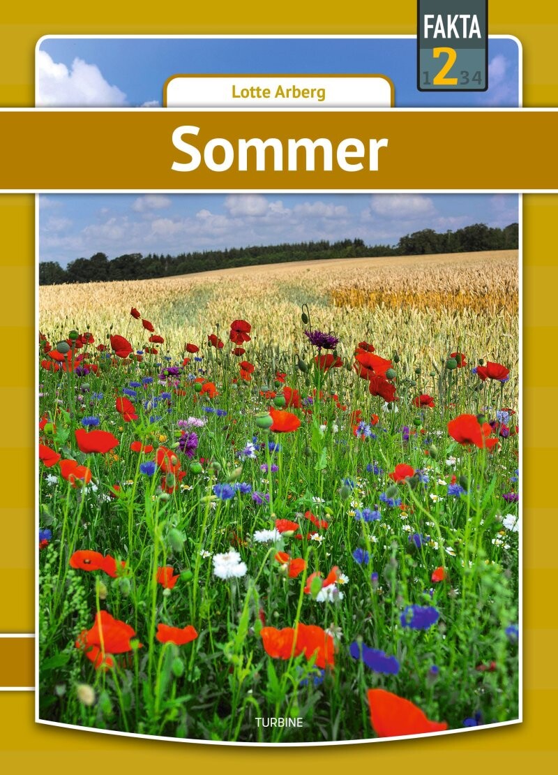 Billede af Sommer - Lotte Arberg - Bog