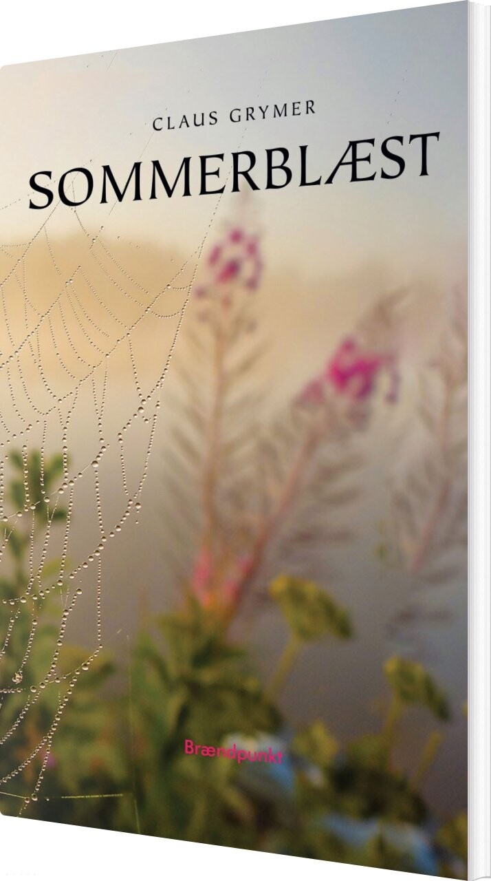Billede af Sommerblæst - Claus Grymer - Bog