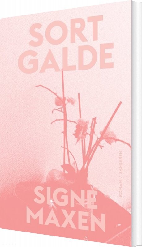 Billede af Sort Galde - Signe Maxen - Bog