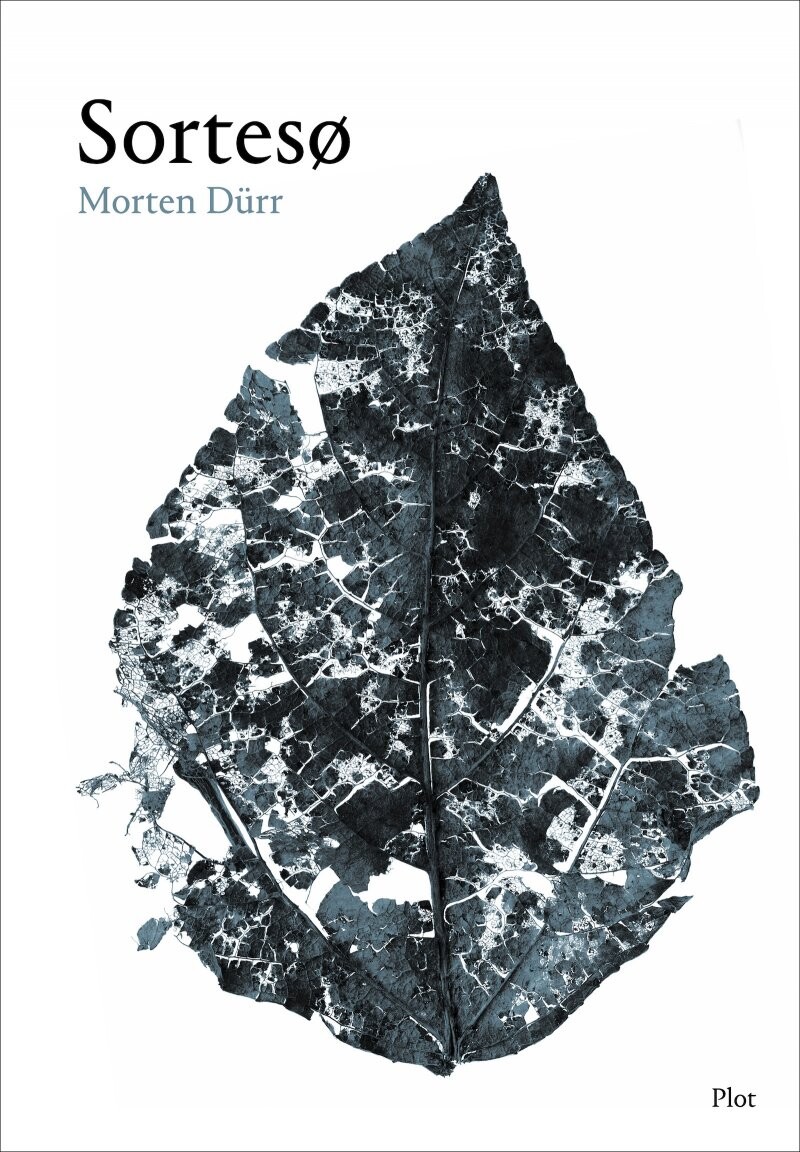 Billede af Sortesø - Morten Dürr - Bog
