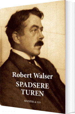 Spadsereturen - Robert Walser - Bog
