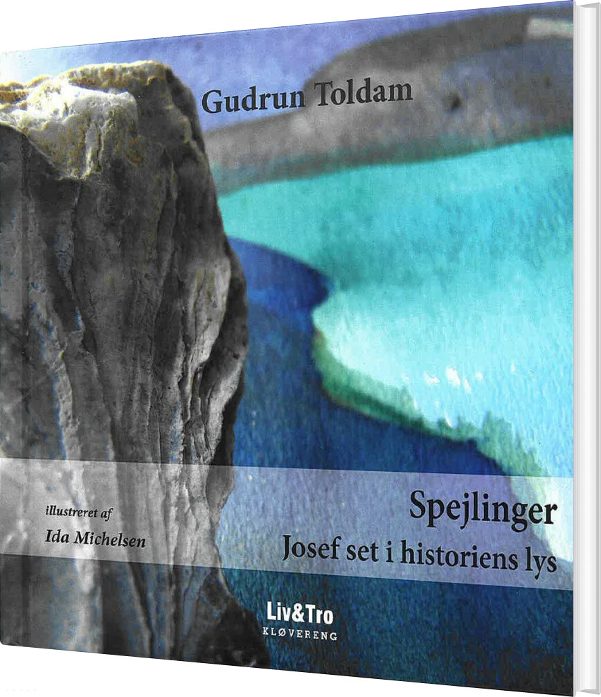 Spejlinger - Gudrun Toldam - Bog