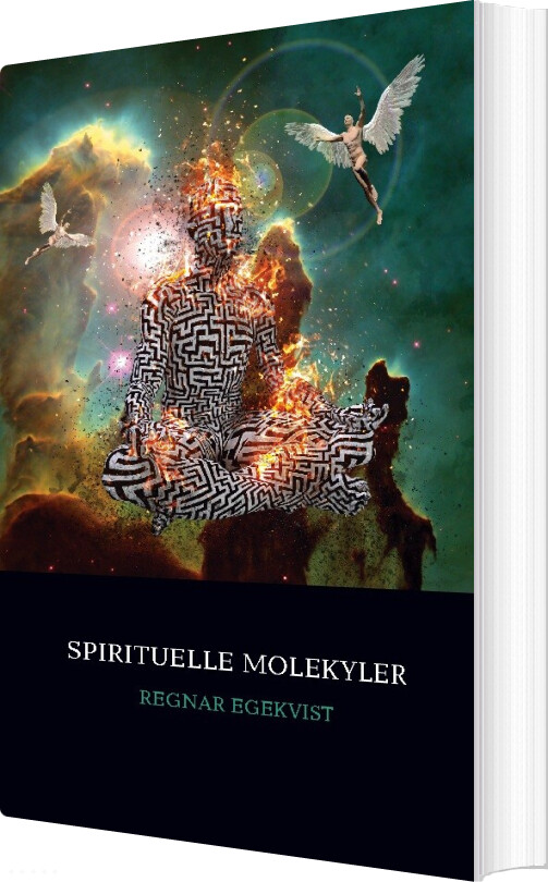 Spirituelle Molekyler - Regnar Egekvist - Bog