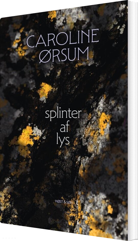 Splinter Af Lys - Caroline ørsum - Bog