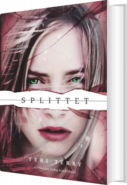 Slettet 2 - Splittet - Teri Terry - Bog