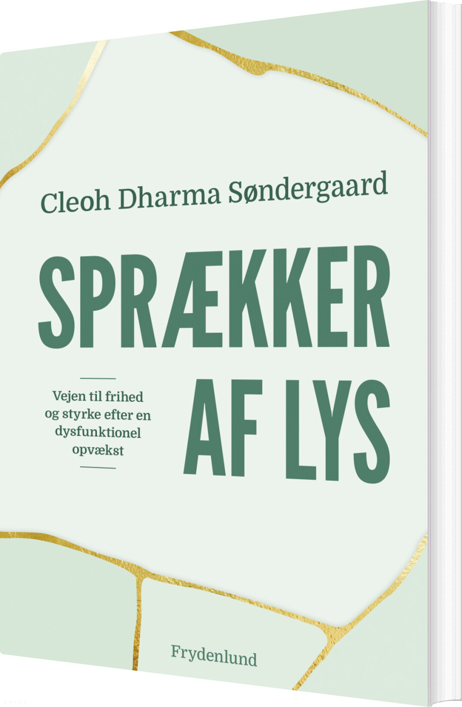 Sprækker Af Lys - Cleohsøndergaard - Bog