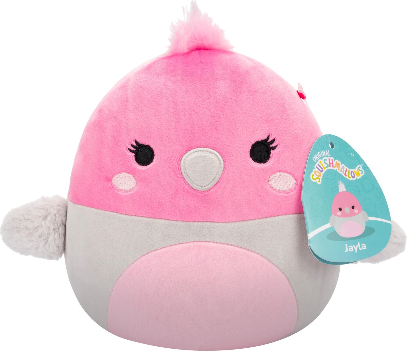 Squishmallows - 19 Cm P20 Plush - Jayla Bird (206091)