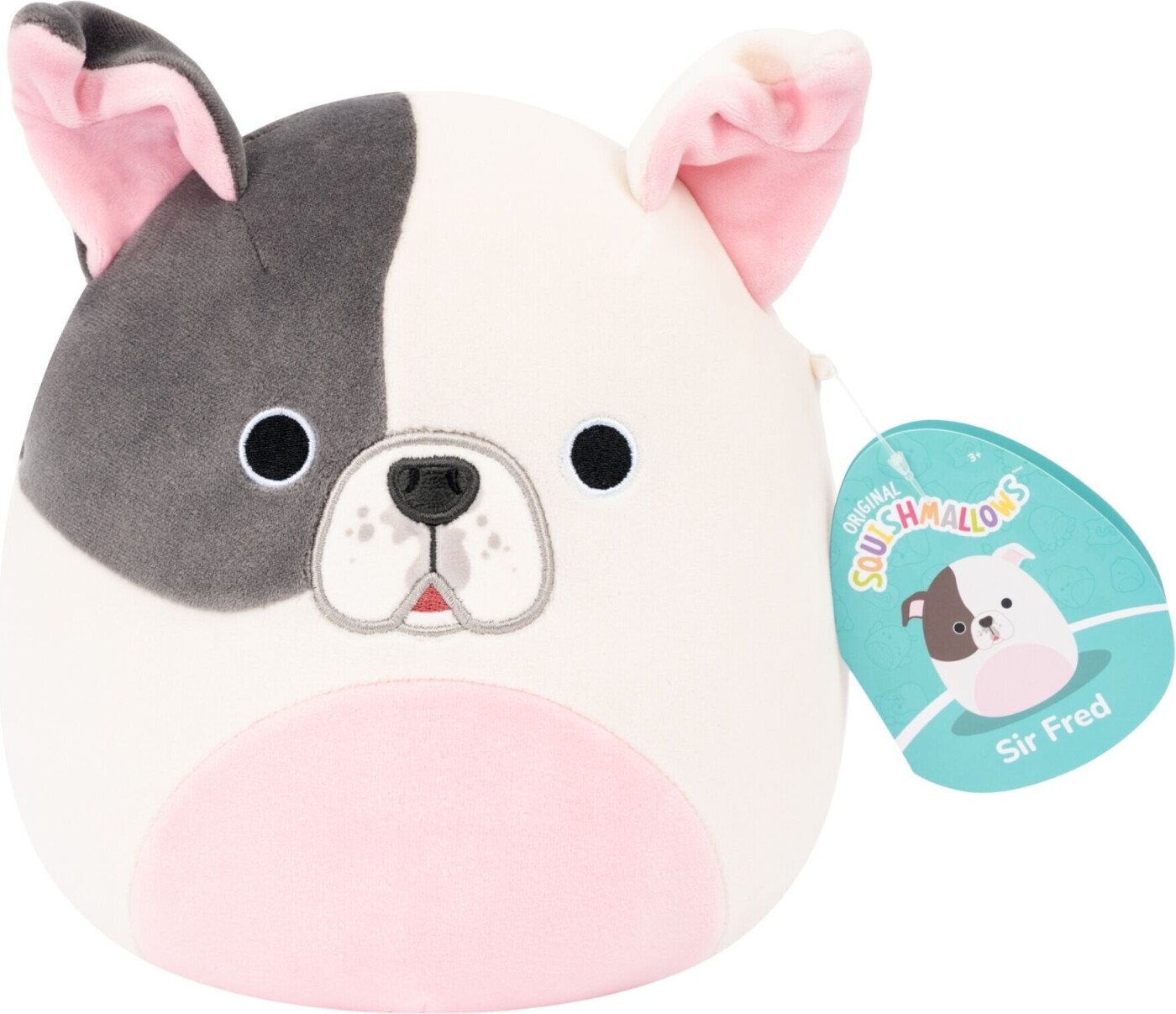 Squishmallows 19 Cm P27 - Sir Fred Pitbull