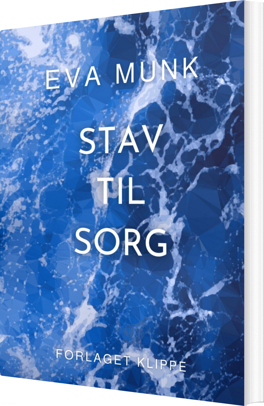 Billede af Stav Til Sorg - Eva Munk - Bog