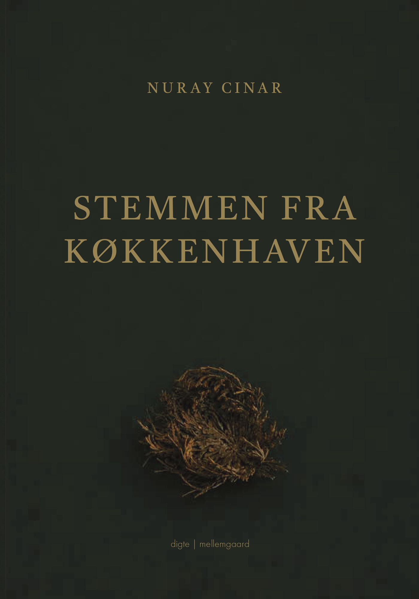 Stemmen Fra Køkkenhaven - Nuray Cinar - Bog