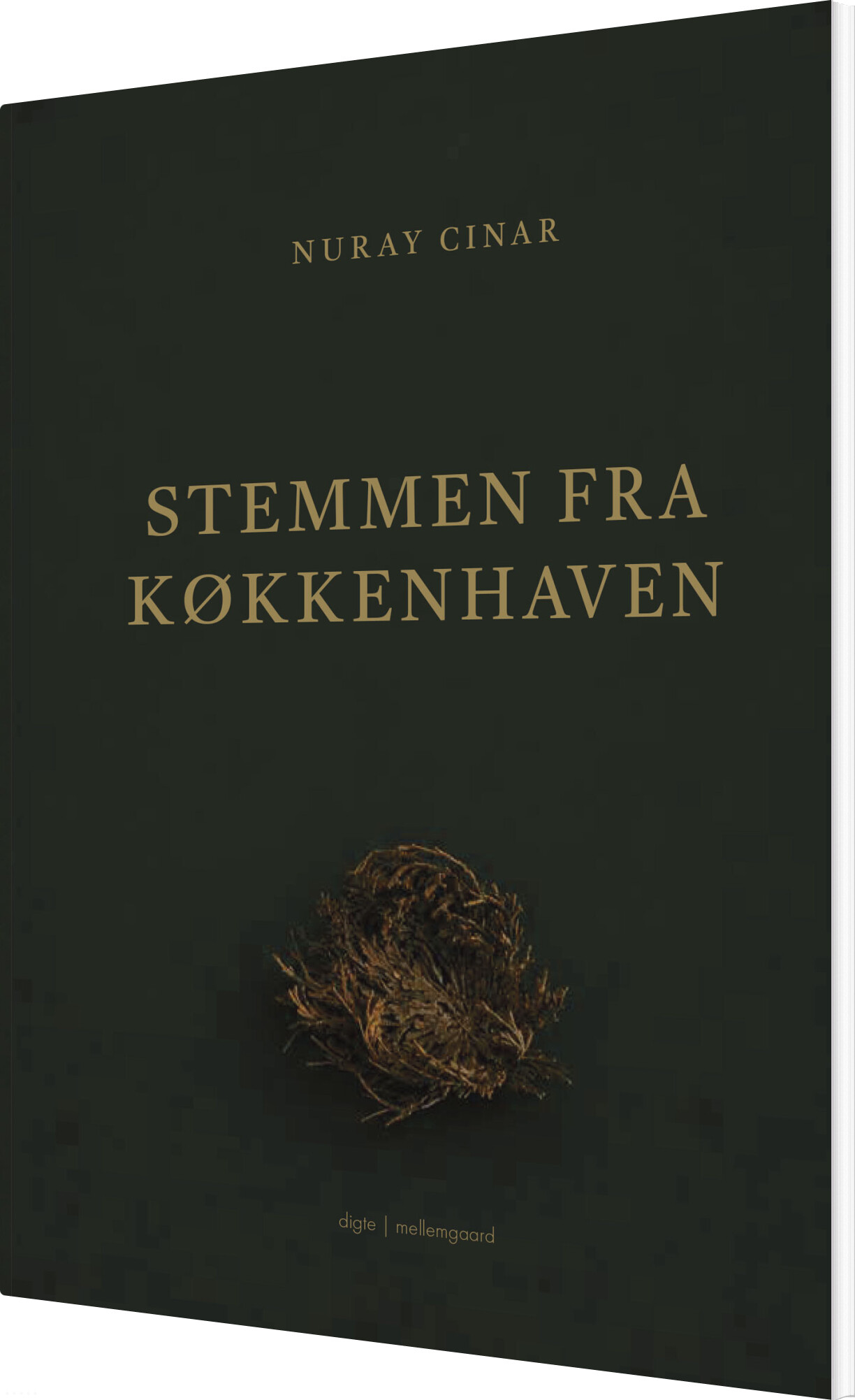 Stemmen Fra Køkkenhaven - Nuray Cinar - Bog
