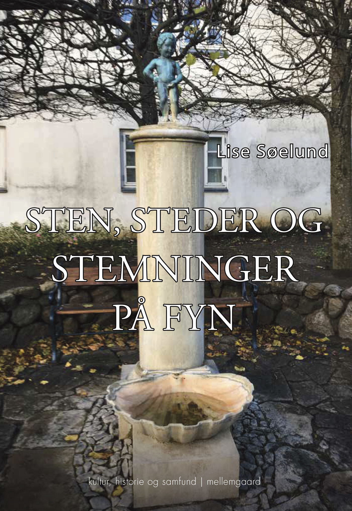 Sten, Steder Og Stemninger På Fyn - Lise Søelund - Bog