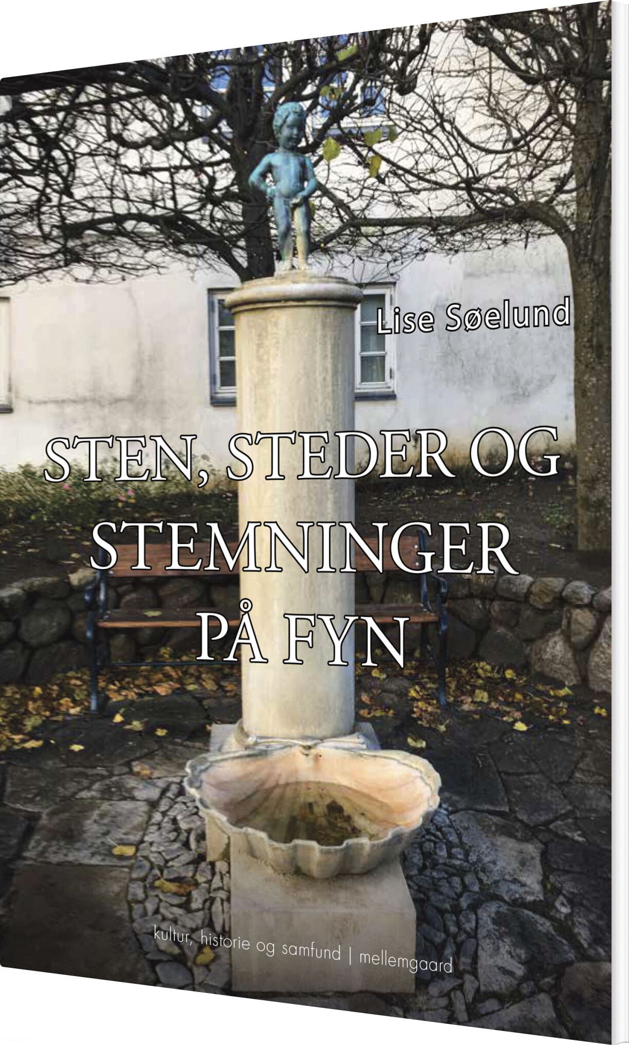 Sten, Steder Og Stemninger På Fyn - Lise Søelund - Bog