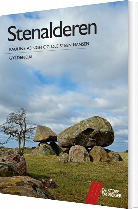 Billede af Stenalderen - Ole Steen Hansen - Bog
