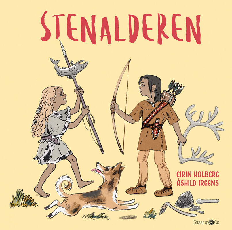 Stenalderen - Eirin Holberg - Bog