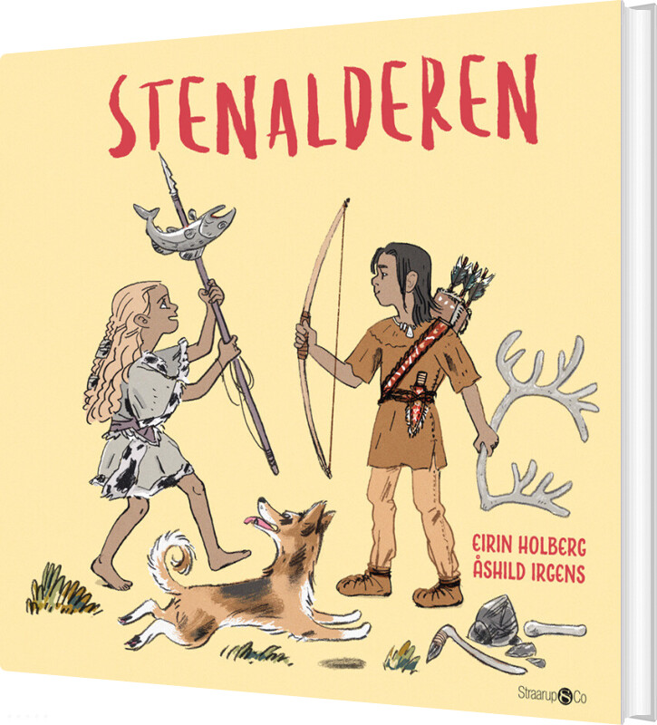 Stenalderen - Eirin Holberg - Bog
