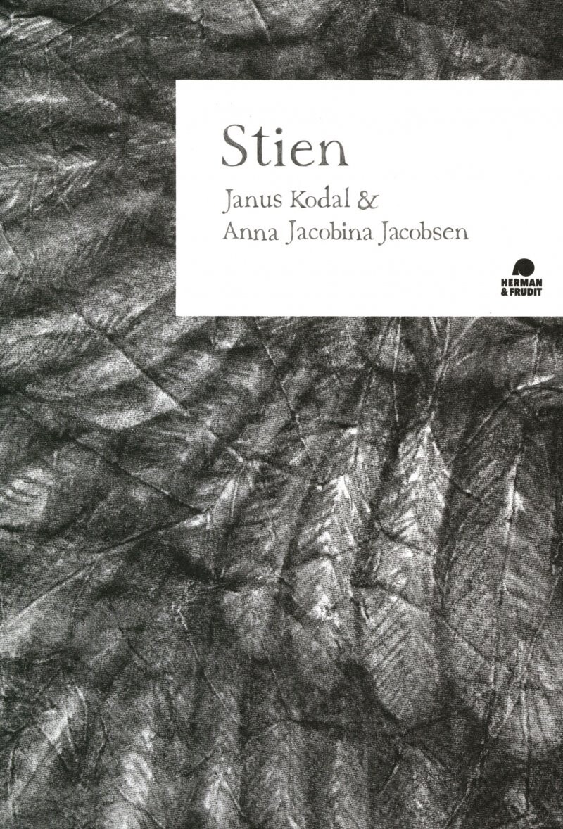 Billede af Stien - Janus Kodal - Bog