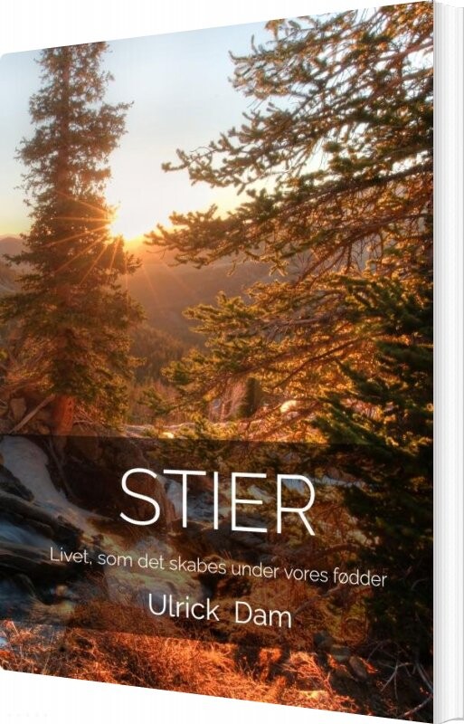 Billede af Stier - Ulrick Dam - Bog