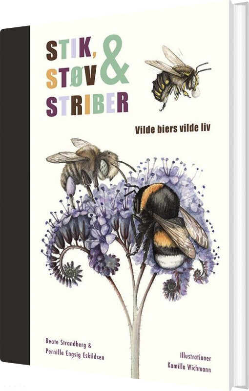 Stik, Støv Og Striber - Beate Strandberg - Bog